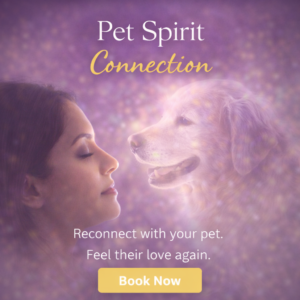 Pet Spirit Connection